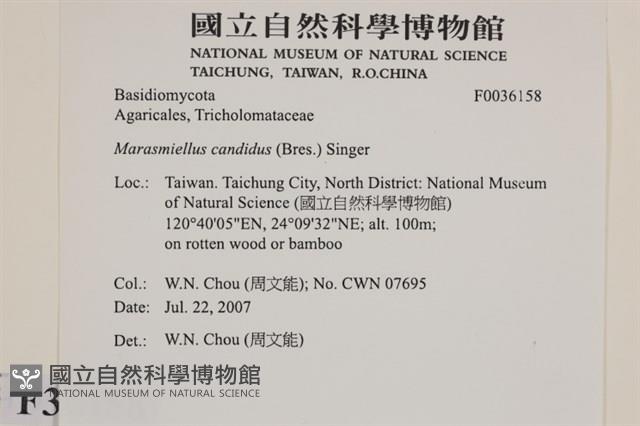 登錄號:F0036158藏品圖，第2張