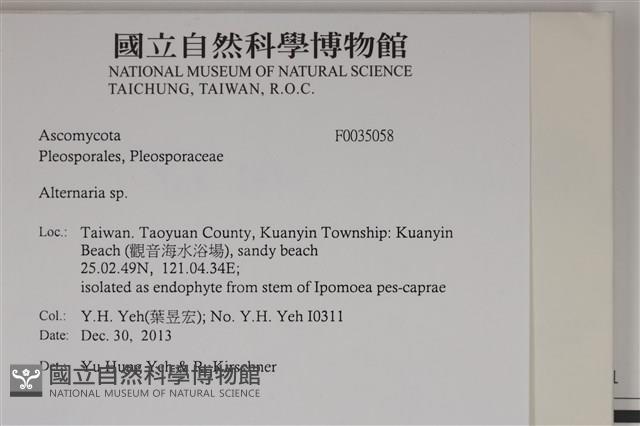 登錄號:F0035058藏品圖，第2張