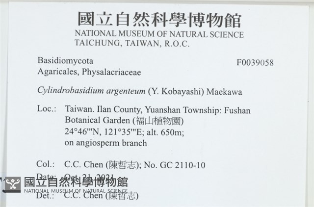 阿根廷柱擔菌藏品圖，第2張