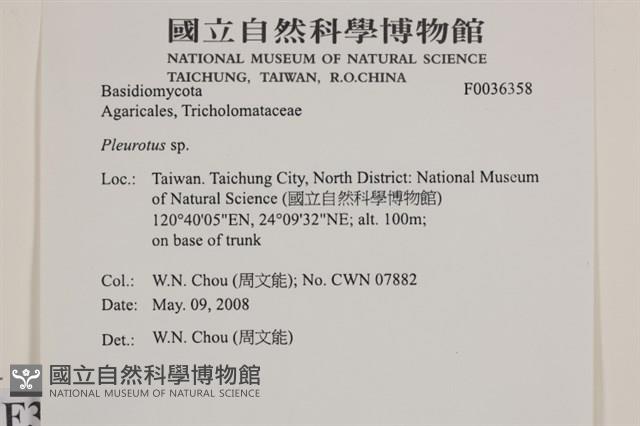 登錄號:F0036358藏品圖，第2張