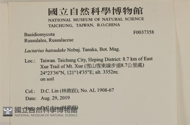 登錄號:F0037358藏品圖，第2張