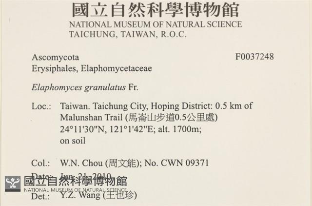 登錄號:F0037248藏品圖，第2張