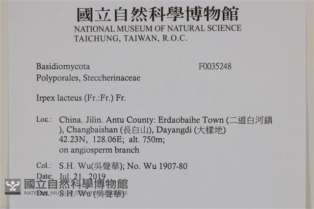 登錄號:F0035248藏品圖，第2張