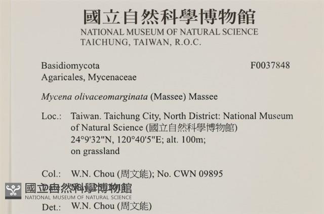 登錄號:F0037848藏品圖，第2張