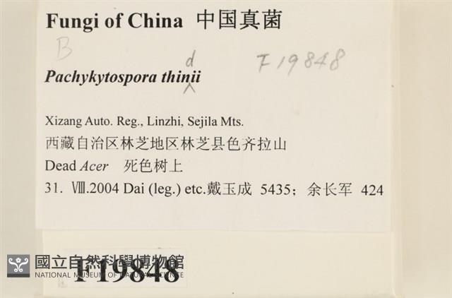 登錄號:F0019848藏品圖，第2張