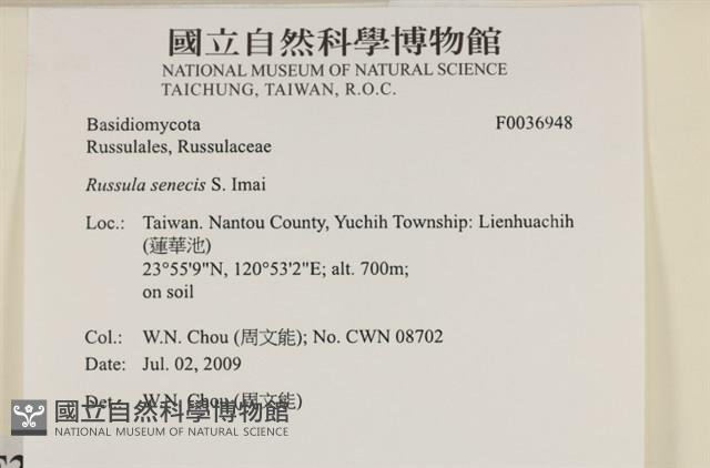 登錄號:F0036948藏品圖，第2張