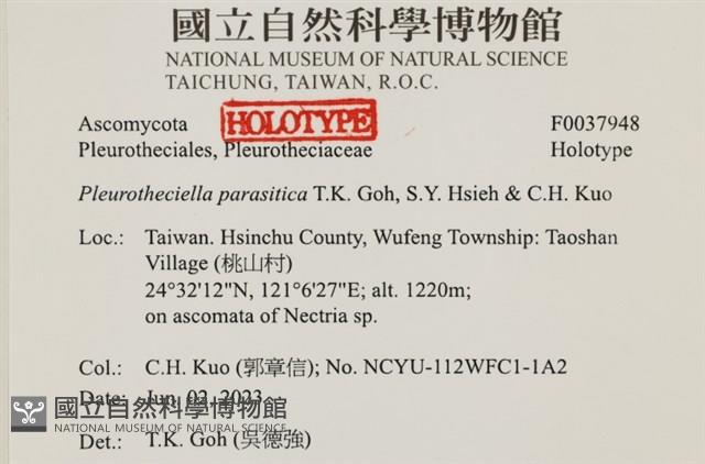 登錄號:F0037948藏品圖，第1張