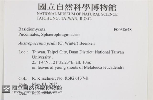 登錄號:F0038648藏品圖，第2張