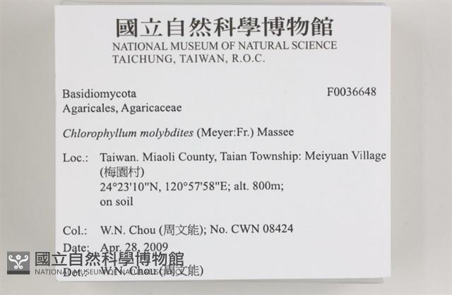 登錄號:F0036648藏品圖，第3張