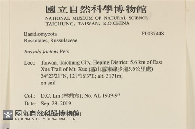 登錄號:F0037448藏品圖，第2張