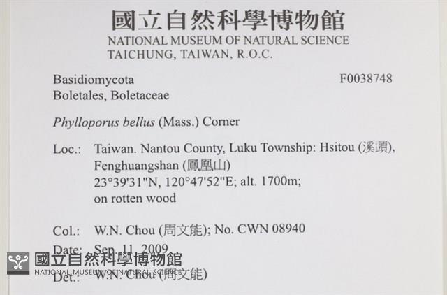 登錄號:F0038748藏品圖，第2張