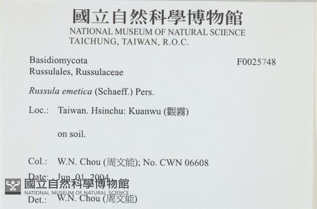 登錄號:F0025748藏品圖，第4張