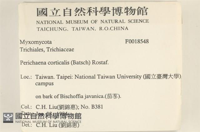 登錄號:F0018548藏品圖，第2張