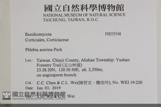 登錄號:F0035548藏品圖，第2張