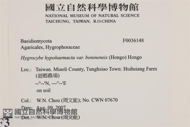 登錄號:F0036148藏品圖，第2張