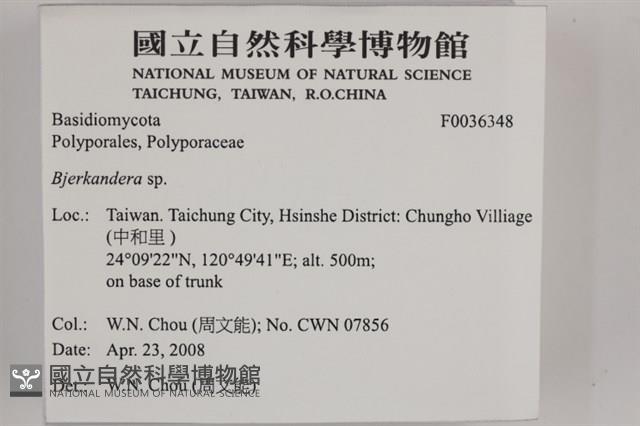登錄號:F0036348藏品圖，第2張