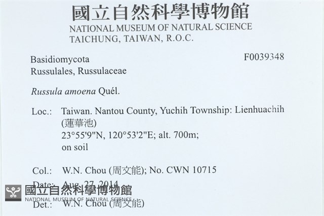 登錄號:F0039348藏品圖，第2張