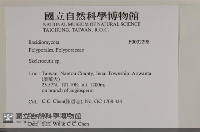骨皮菌屬藏品圖，第3張