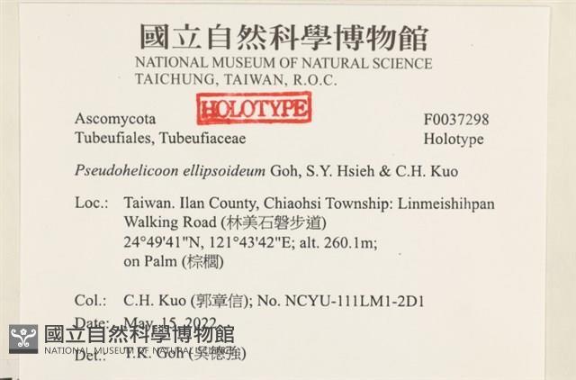 登錄號:F0037298藏品圖，第2張