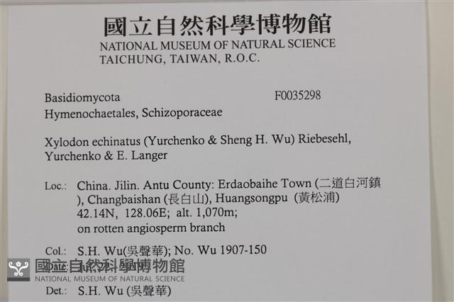 登錄號:F0035298藏品圖，第2張