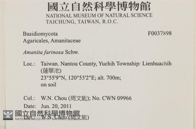 登錄號:F0037898藏品圖，第2張