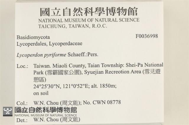 登錄號:F0036998藏品圖，第2張