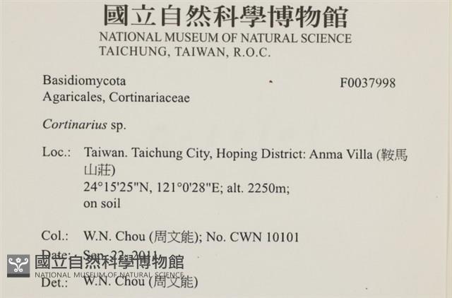 登錄號:F0037998藏品圖，第2張