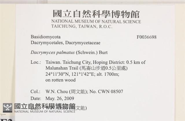 登錄號:F0036698藏品圖，第2張