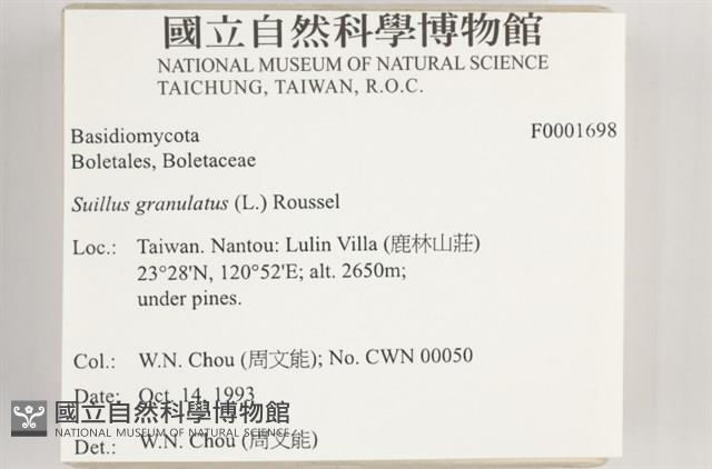 登錄號:F0001698藏品圖，第4張