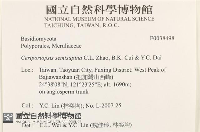 登錄號:F0038498藏品圖，第2張