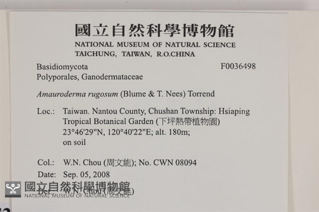 登錄號:F0036498藏品圖，第2張