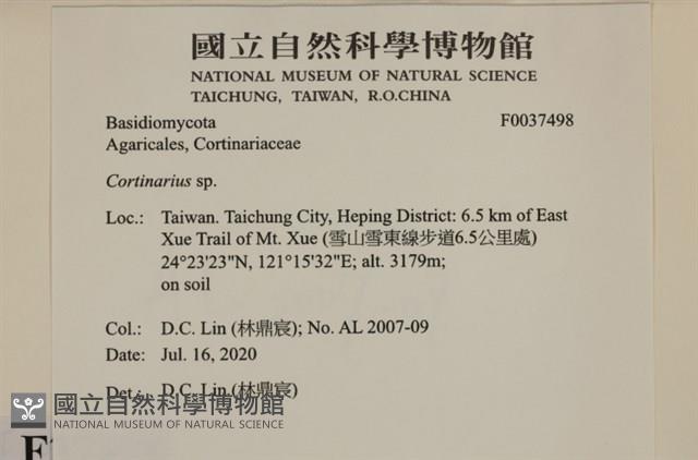 登錄號:F0037498藏品圖，第2張