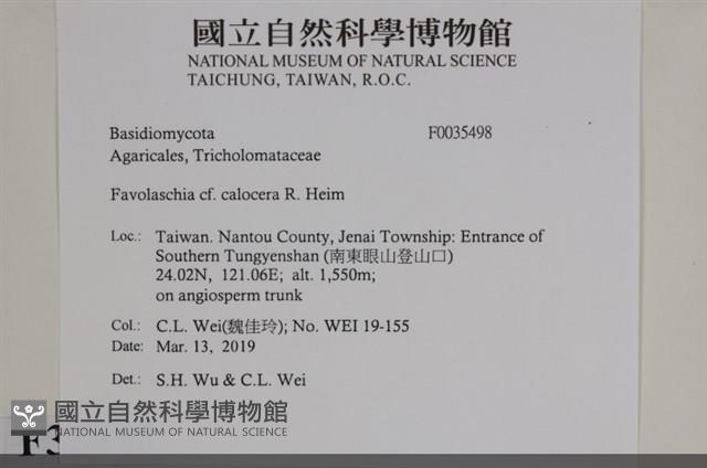 登錄號:F0035498藏品圖，第2張