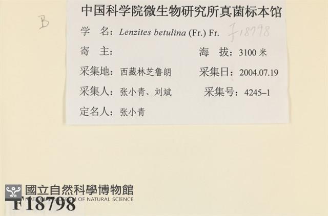 登錄號:F0018798藏品圖，第2張