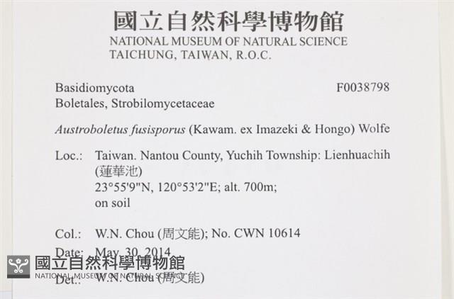 登錄號:F0038798藏品圖，第2張