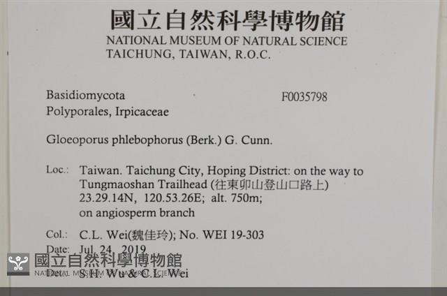 登錄號:F0035798藏品圖，第2張