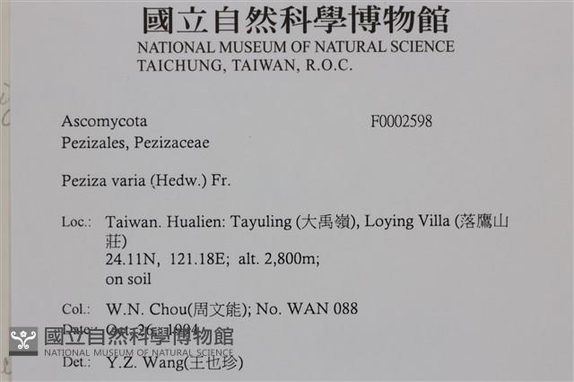 登錄號:F0002598藏品圖，第5張