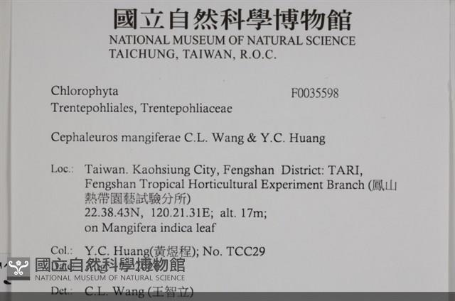 館號:F0035598藏品圖，第2張