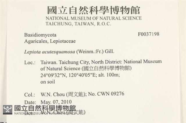 登錄號:F0037198藏品圖，第2張