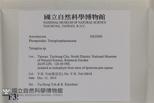 登錄號:F0035098藏品圖，第2張