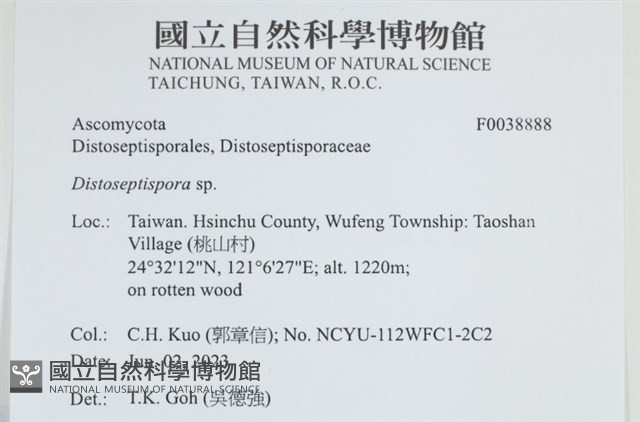 登錄號:F0038888藏品圖，第2張