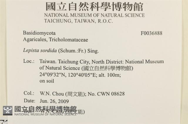 登錄號:F0036888藏品圖，第2張