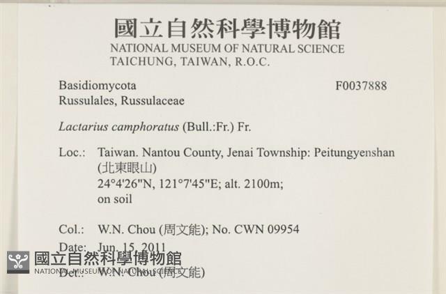 登錄號:F0037888藏品圖，第2張