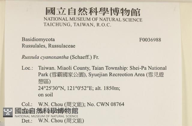 登錄號:F0036988藏品圖，第2張