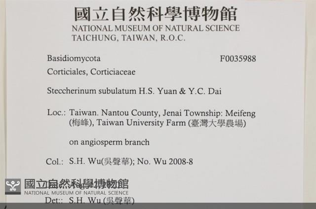 登錄號:F0035988藏品圖，第2張