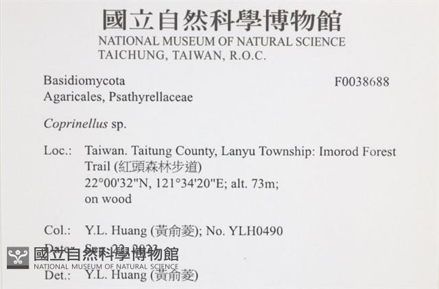 登錄號:F0038688藏品圖，第2張