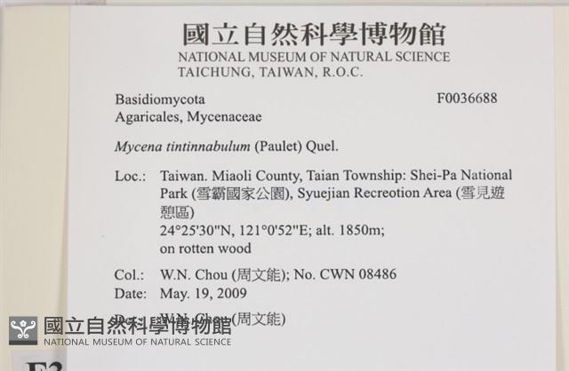 登錄號:F0036688藏品圖，第2張