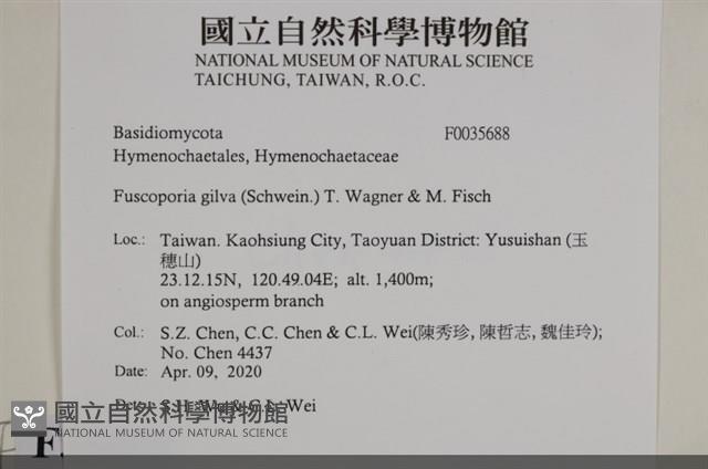 登錄號:F0035688藏品圖，第2張