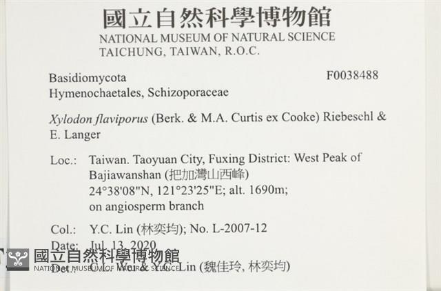 登錄號:F0038488藏品圖，第2張