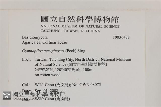 登錄號:F0036488藏品圖，第2張